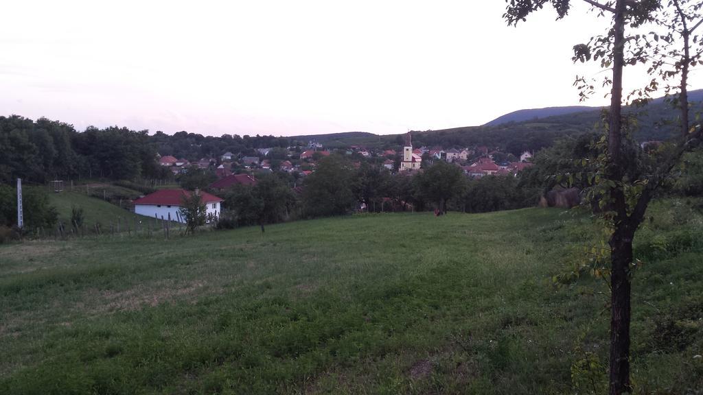 Апартаменты Domboldal Vendeghaz Носвай Экстерьер фото